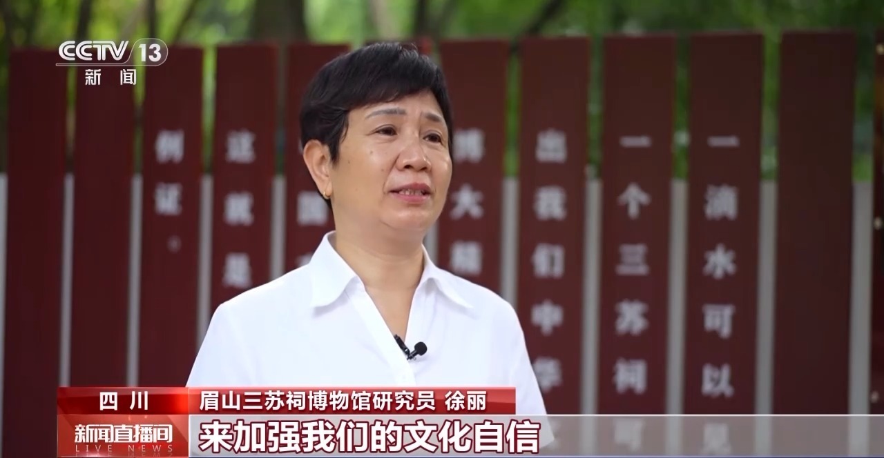新奧門一碼一肖，探索與揭秘，新奧門一碼一肖，揭秘與探索之旅