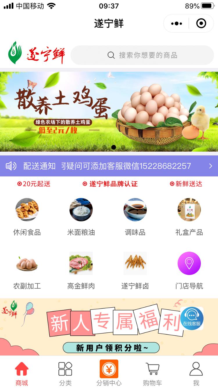 王中王遂寧平臺一肖中特，探索與解析，王中王遂寧平臺一肖中特，深度探索與解析