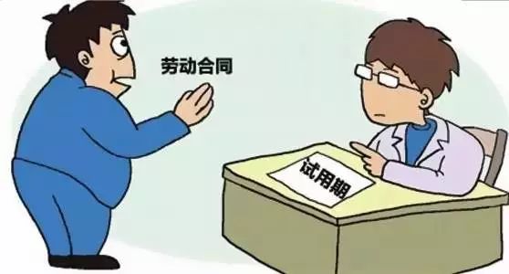 新澳一肖一馬一尾期期，深度解析與SEO優(yōu)化策略，新澳一肖一馬一尾期期，深度解析與SEO優(yōu)化策略探討
