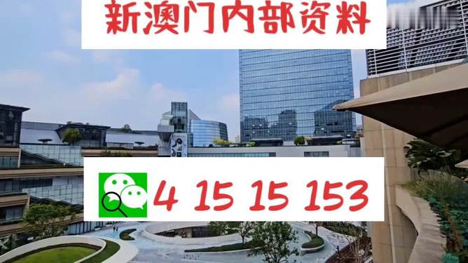 新澳門一碼一碼100，探索與體驗(yàn)獨(dú)特的澳門魅力，探索澳門魅力，新澳門一碼一碼體驗(yàn)之旅