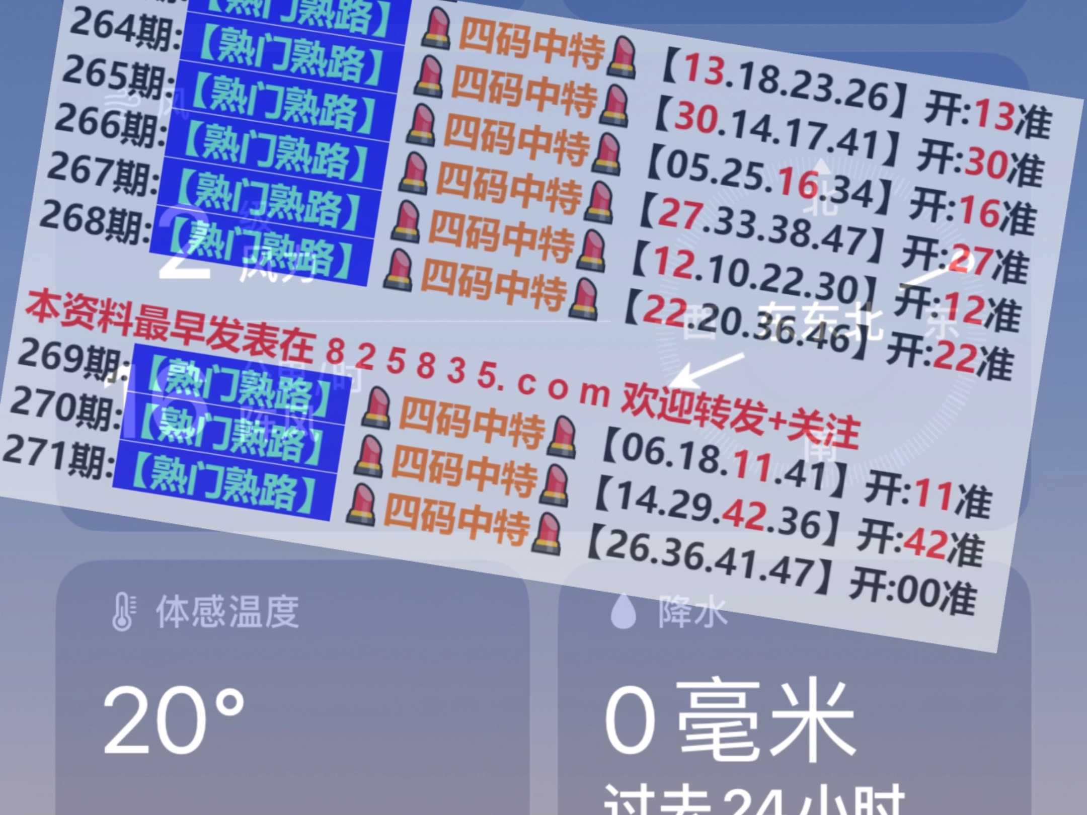 澳門免費精準資料，探索204年的秘密與機遇，澳門204年秘密與機遇探索，免費精準資料揭秘