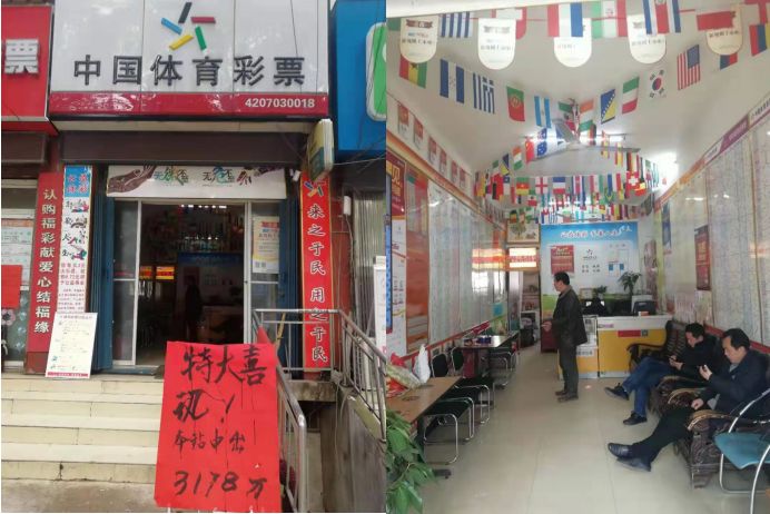 新澳門一碼一肖一特一中鳳凰體育彩票——揭秘彩票背后的秘密，揭秘新澳門一碼一肖一特一中鳳凰體育彩票背后的秘密之道