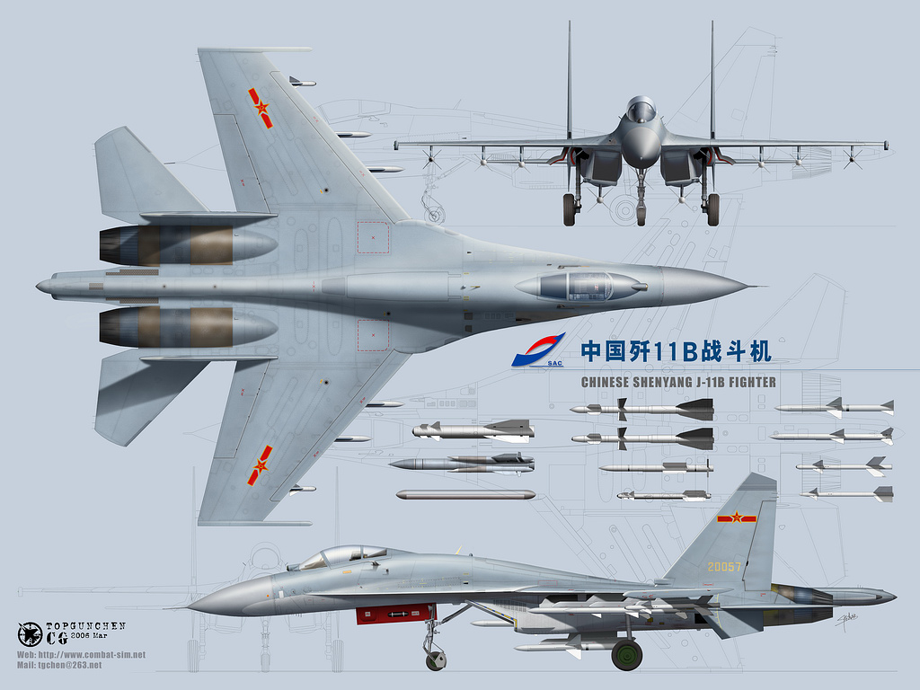 中國空軍戰(zhàn)斗機種類概覽，中國空軍戰(zhàn)斗機種類概覽與特點解析