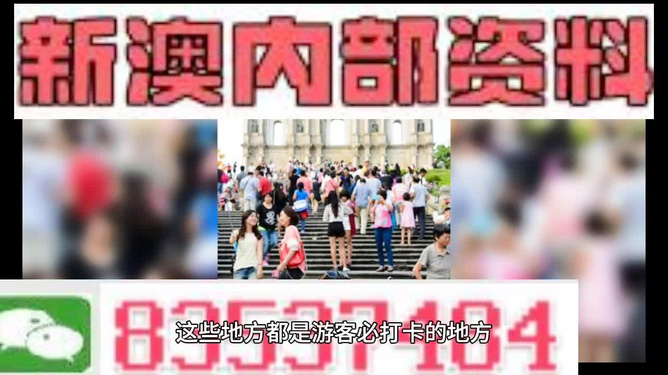 新澳精準(zhǔn)資料免費(fèi)提供，探索第510期的奧秘與價(jià)值，新澳第510期精準(zhǔn)資料探索，奧秘與價(jià)值揭秘