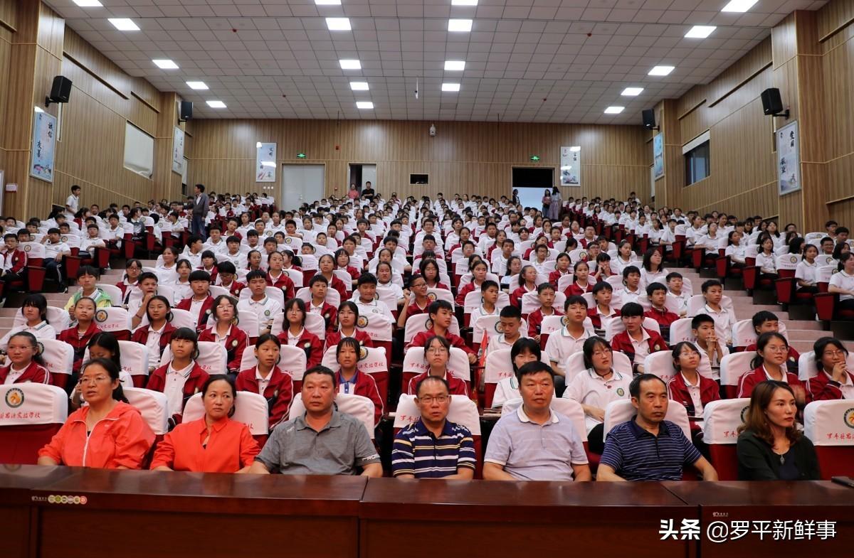 揭秘2020年現(xiàn)役上將名單，他們的名字與故事，揭秘，2020年現(xiàn)役上將名單及他們的傳奇故事