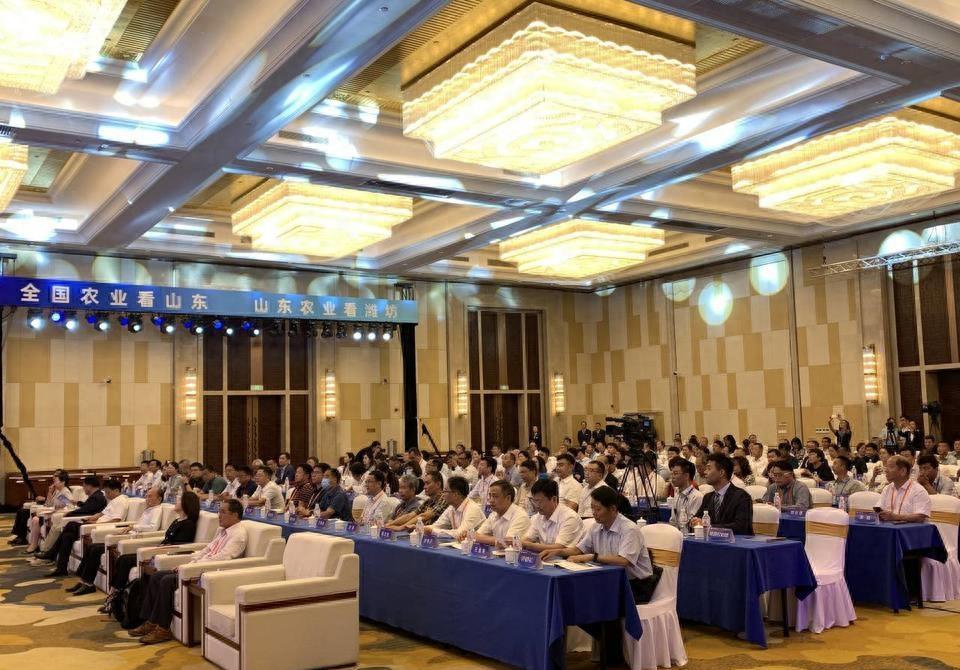 海峽兩岸新聞發(fā)展趨勢展望，2023年的機遇與挑戰(zhàn)，海峽兩岸新聞發(fā)展趨勢展望，2023年的機遇與挑戰(zhàn)分析