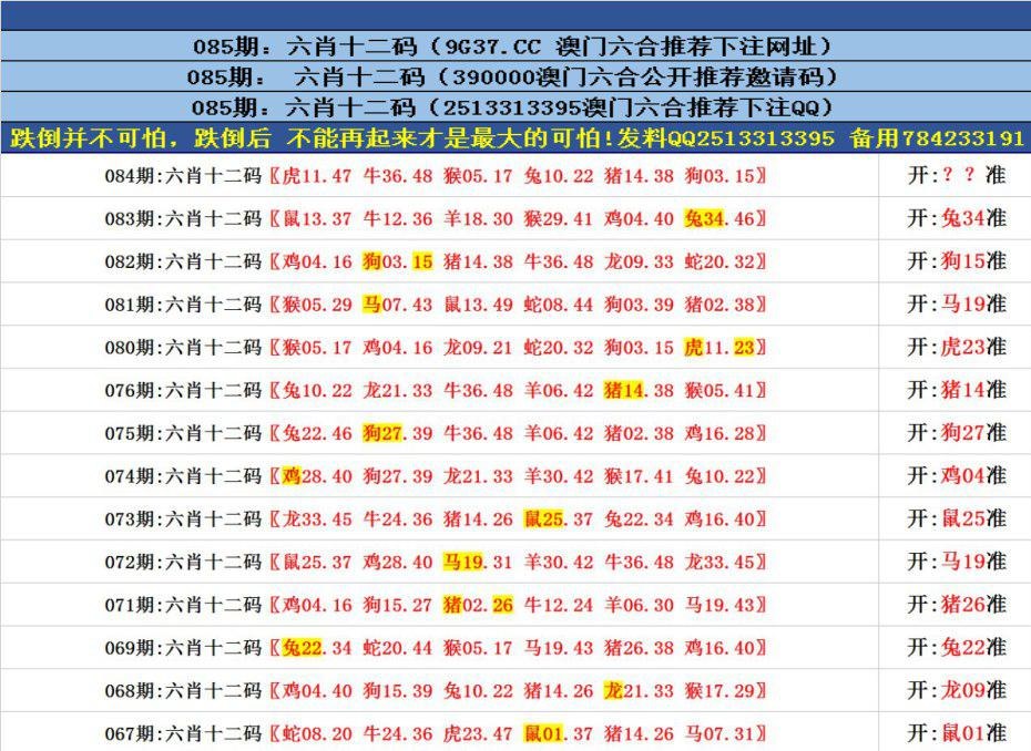 澳門6合資料免費大全