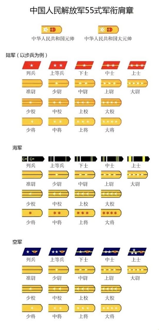 詳解概覽