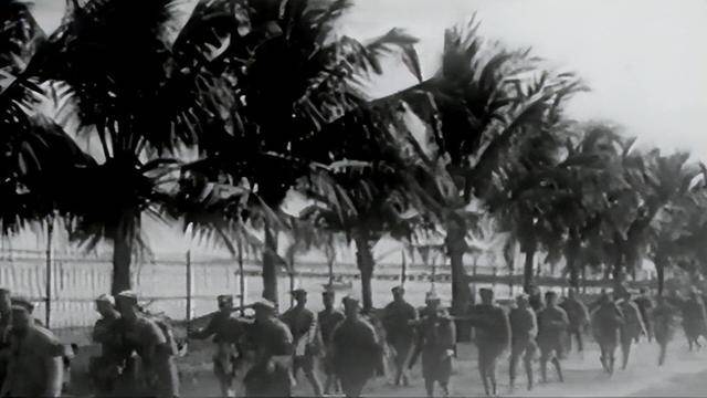 海南島戰(zhàn)役臨戰(zhàn)前的緊張氛圍與戰(zhàn)略準(zhǔn)備，海南島戰(zhàn)役前夕的緊張備戰(zhàn)與戰(zhàn)略布局