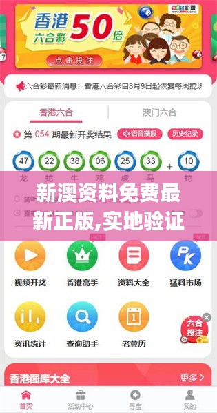 2025新澳正版資料精準(zhǔn)解析，2025新澳正版資料精準(zhǔn)解析手冊