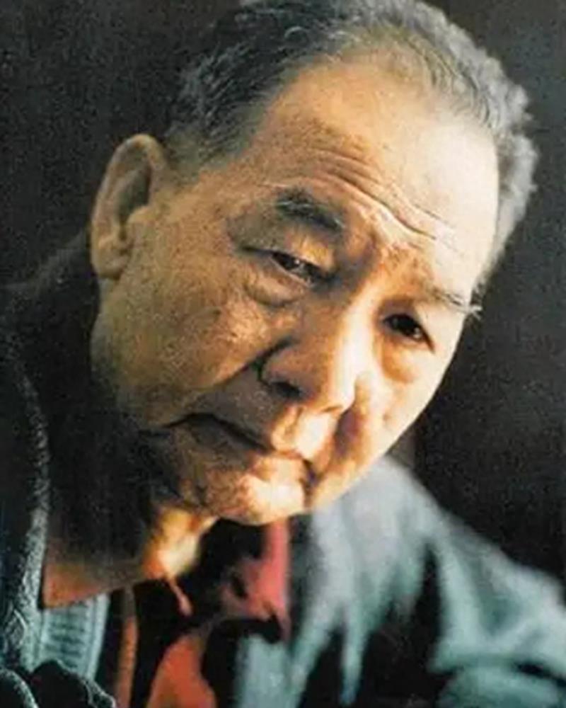 四野解放海南島戰(zhàn)役，回顧歷史，致敬英雄，四野解放海南島戰(zhàn)役，歷史回顧，致敬英雄之魂