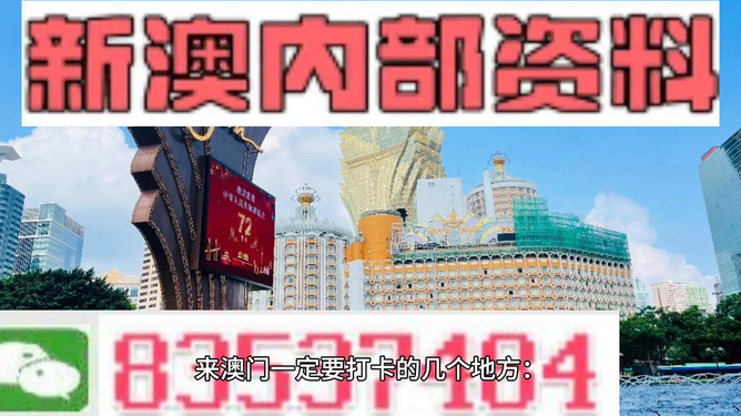 新澳門最精準正最精準龍門，探索與揭秘，新澳門最精準正龍門探索揭秘攻略