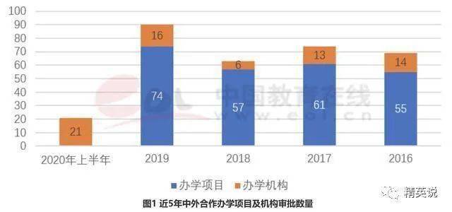 SEO洞察與深度解析