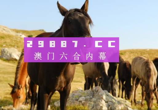 澳門管家婆一肖一碼一中開(kāi)——揭秘彩票預(yù)測(cè)神秘面紗，澳門彩票預(yù)測(cè)揭秘，管家婆一肖一碼一中開(kāi)真相探索