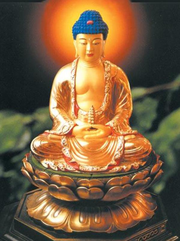 探索未來(lái)之門，2019今天，我們走向何方？，探索未來(lái)之門，走向何方？今日2019的展望與探索。
