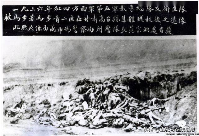 西路軍臨澤戰(zhàn)役，歷史回顧與啟示，西路軍臨澤戰(zhàn)役，歷史回顧與深刻啟示