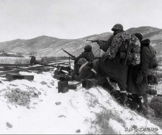 長(zhǎng)津湖戰(zhàn)役，中國(guó)軍隊(duì)的巨大犧牲與民族精神，長(zhǎng)津湖戰(zhàn)役，中國(guó)軍隊(duì)的英勇犧牲與民族精神的彰顯