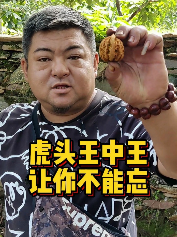 虎頭王中王打一生肖——探尋神秘生肖傳奇，神秘生肖傳奇，虎頭王中王揭示生肖之謎