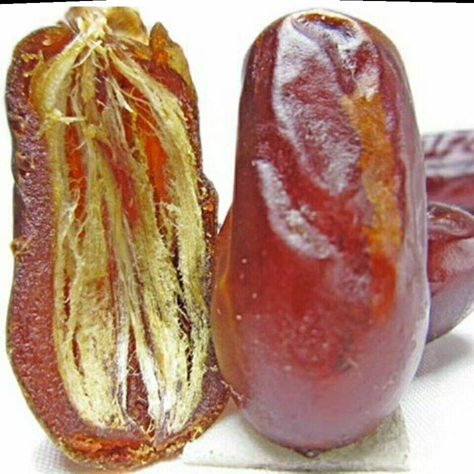 伊拉克椰棗，揭示其驚人功效與健康益處，伊拉克椰棗，揭示其健康益處與驚人功效