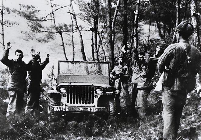中國人民志愿軍第113師，英勇無畏，鑄就輝煌歷史，中國人民志愿軍第113師，英勇鑄就輝煌歷史