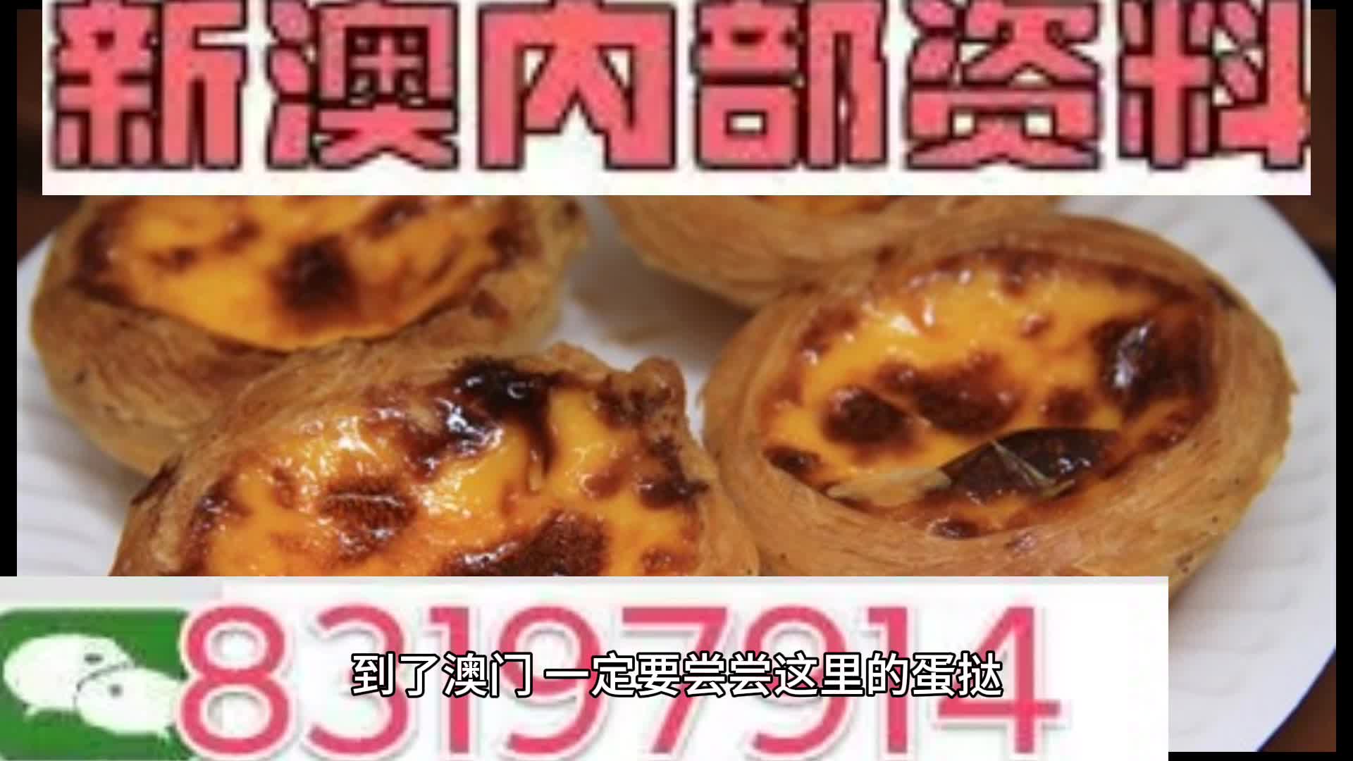 新澳門資料大全正版資料與奧利奧，探索與體驗的獨特結合，奧利奧與新澳門資料大全正版資料的獨特探索與體驗之旅