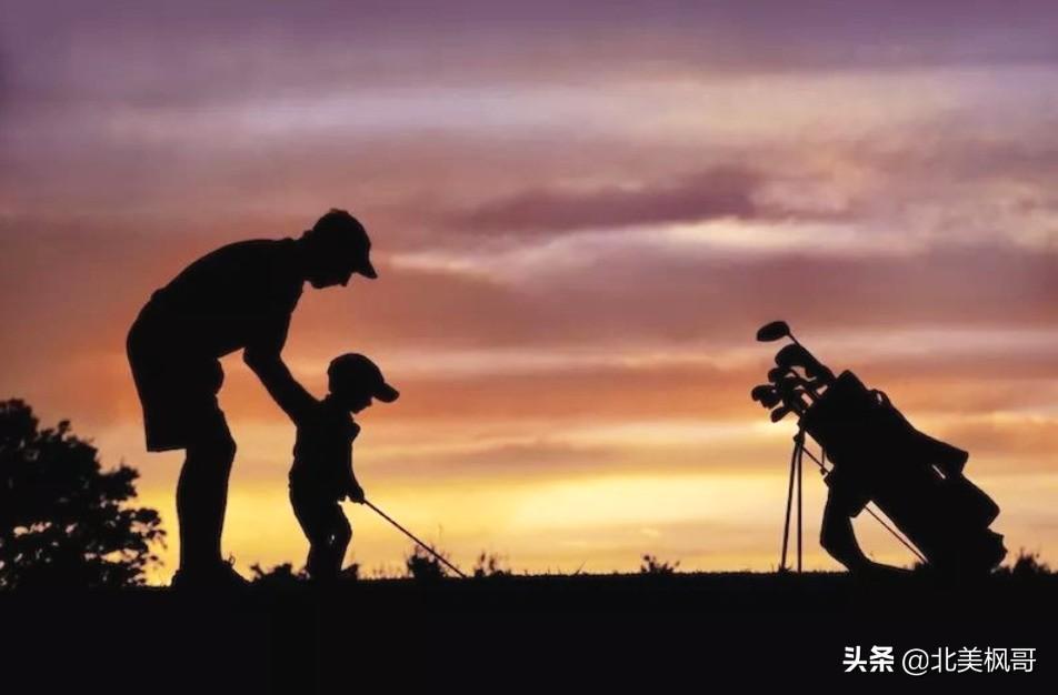 森林之中王中王，探尋生肖之霸——深度解析生肖中的王者形象與森林王者之象征，森林與生肖王者，深度探尋生肖霸主與森林之王的象征意義
