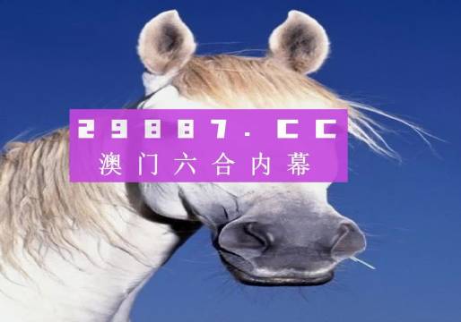 澳門碼資料解析