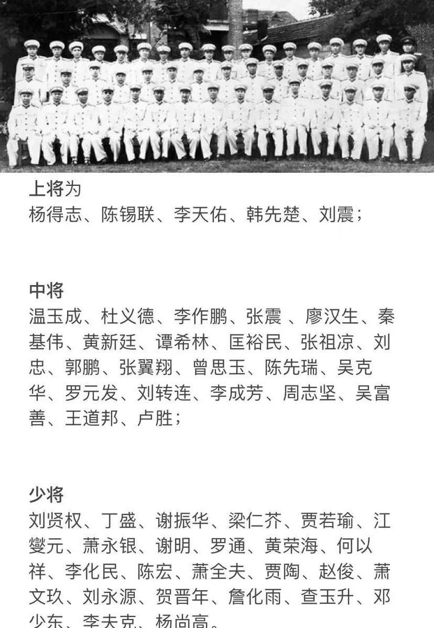 志愿軍領(lǐng)導(dǎo)班子成員名單及其卓越貢獻，志愿軍領(lǐng)導(dǎo)班子成員名單及他們的卓越貢獻概覽