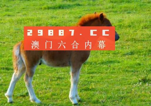 新奧門一肖一馬必中——揭秘彩票背后的秘密與策略，揭秘彩票背后的秘密與策略，新奧門一肖一馬必中技巧探究