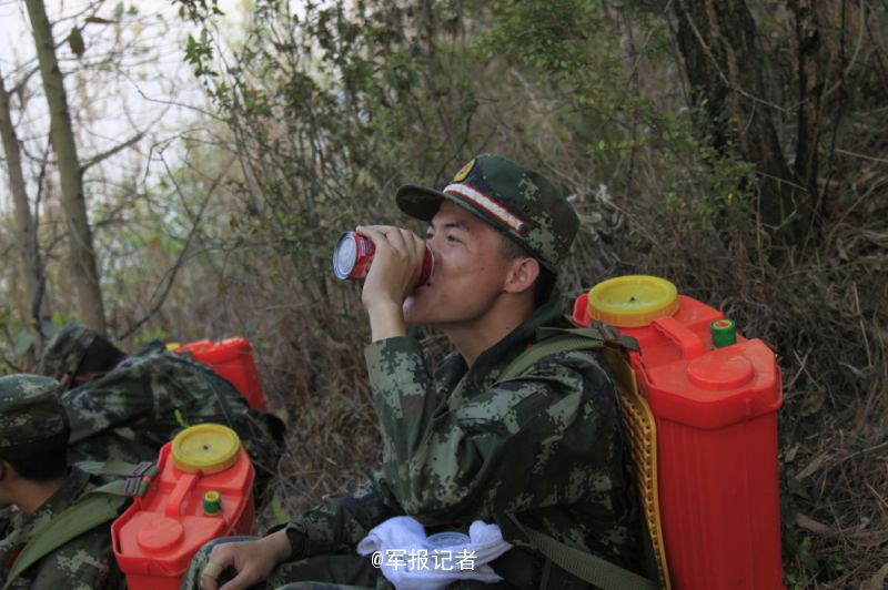 昆明陸軍第十四集團(tuán)軍的榮耀與傳承，昆明陸軍第十四集團(tuán)軍的榮耀傳承之路