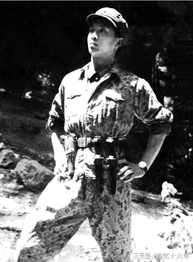 丁曉兵獲得的榮譽，丁曉兵榮譽成就概覽
