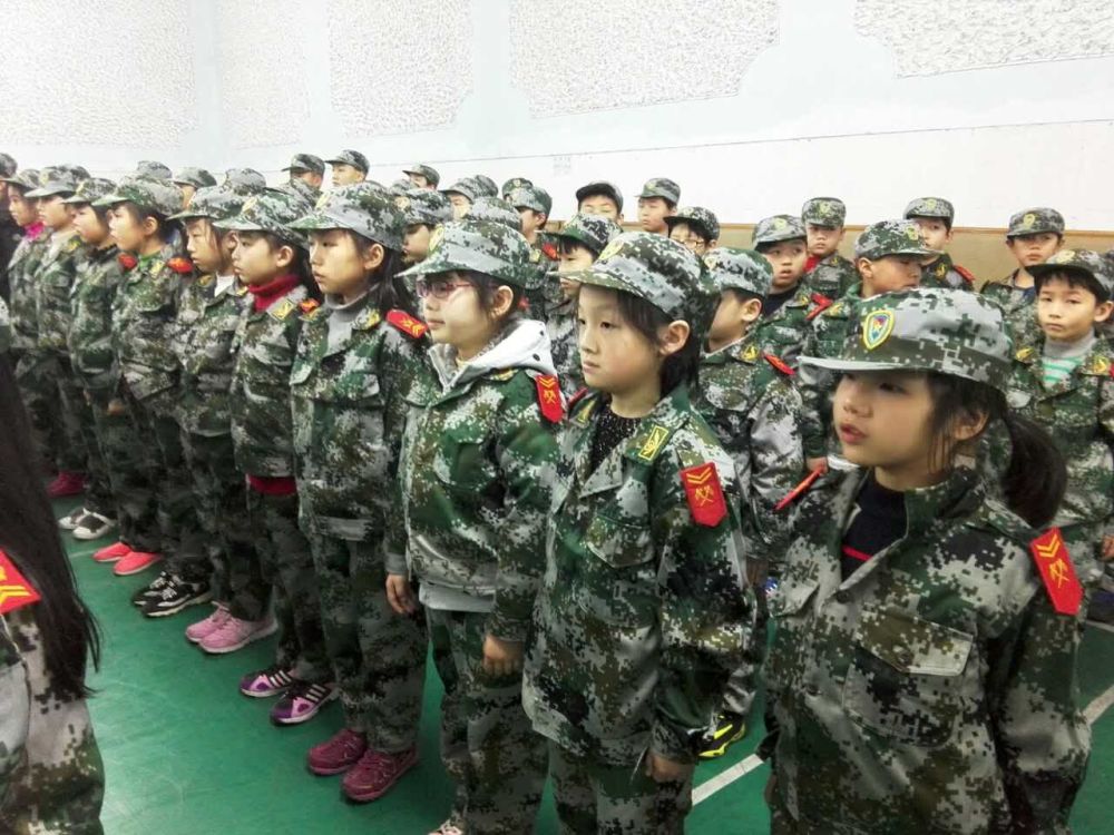 中國(guó)特種兵招收條件詳解，中國(guó)特種兵招收條件全面解析