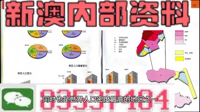 2025新澳正版資料精準(zhǔn)解析，2025新澳正版資料精準(zhǔn)解析手冊