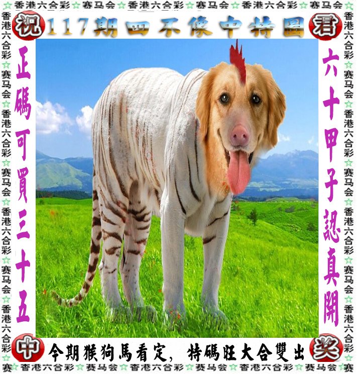 王中王四不像肖一必特，深度解析與探索，王中王四不像肖一必特，深度解析與獨(dú)特探索