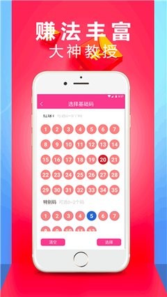王中王精選六肖中特一，揭秘精準預測的魅力與策略，揭秘精準預測魅力與策略，王中王精選六肖中特一預測法