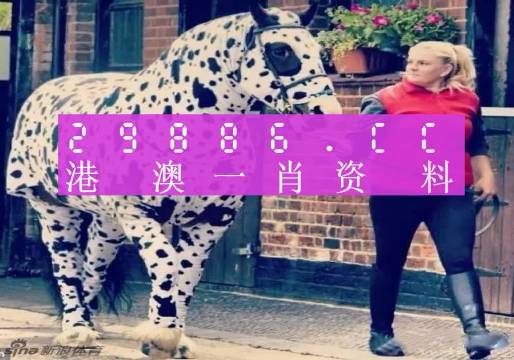 香港王中王一肖中特，揭秘背后的秘密，揭秘香港王中王一肖中特背后的秘密