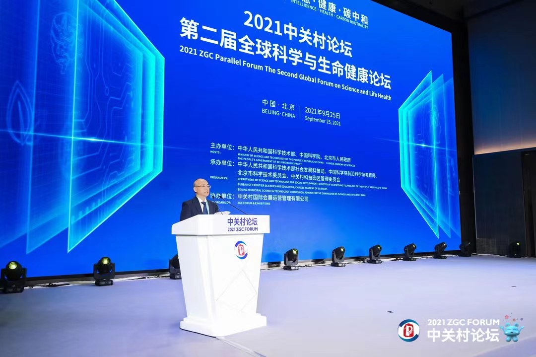 以前的論壇，回憶與SEO的交織，昔日論壇回憶與SEO的交織歲月