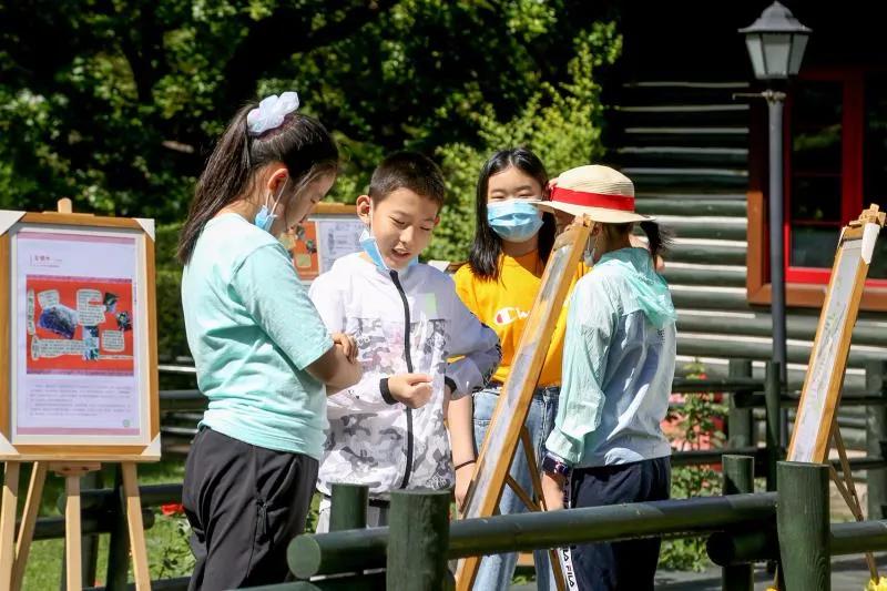 國際觀察筆記，全球動態(tài)深度解析，全球動態(tài)深度解析，國際觀察筆記