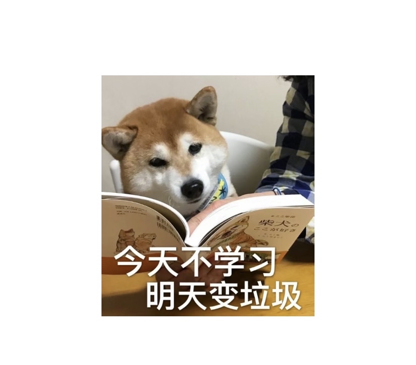 今天不學習，明天變垃圾壁紙，懶惰與進步的博弈，懶惰與進步的博弈，不學習即變垃圾壁紙的警示標語