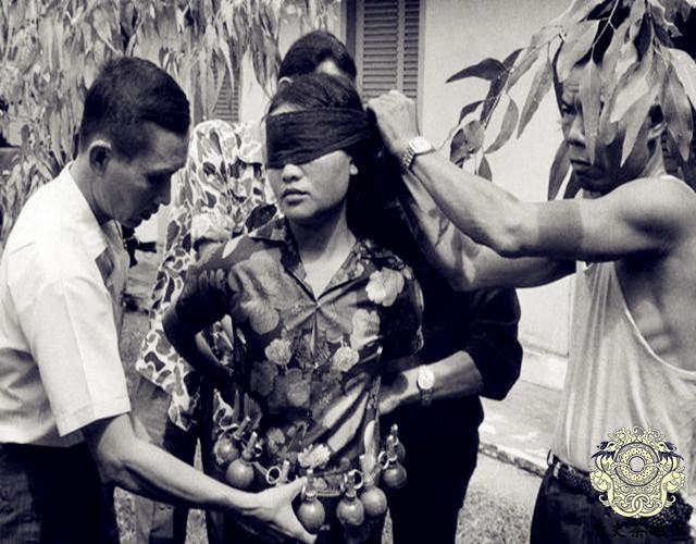 中國女兵在越南紀(jì)錄片，揭示英勇背后的故事，中國女兵在越南，英勇背后的故事揭秘