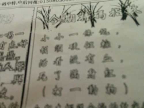 揭秘劉伯溫平特一肖圖的神秘面紗，劉伯溫平特一肖圖的神秘面紗揭秘