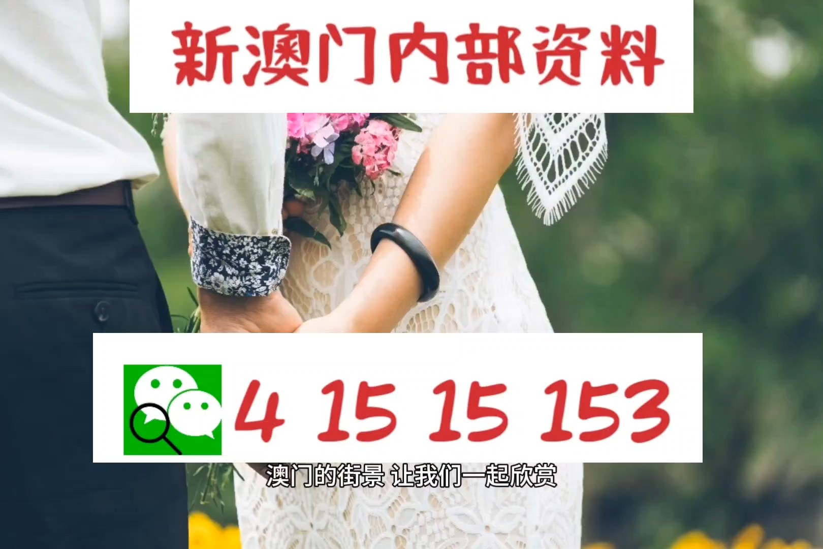 澳門碼今晚開碼，探索與預(yù)測，澳門碼今晚開碼，深度探索與精準(zhǔn)預(yù)測