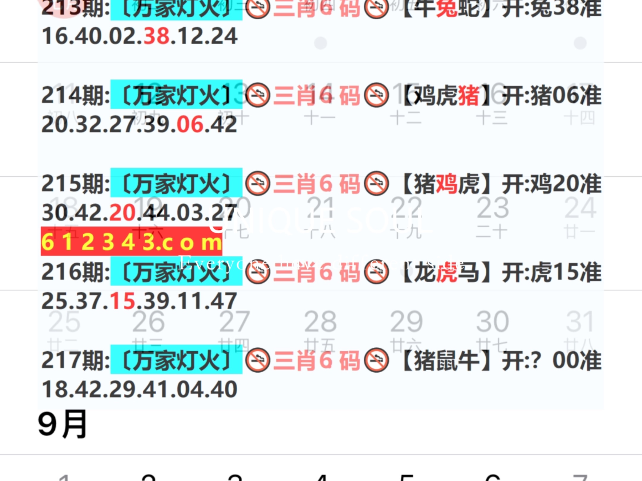 新奧門期期免費(fèi)資料