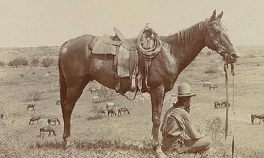 美國第1集團(tuán)軍群的演變與影響，歷史、現(xiàn)狀和未來展望，美國第1集團(tuán)軍群的演變及其歷史、現(xiàn)狀與未來展望，影響與前景分析