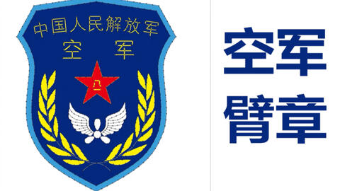 陸軍臂章，榮耀的象征與文化的傳承，陸軍臂章，榮耀傳承與文化象征
