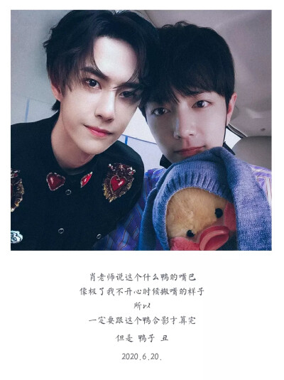 王中王一肖資料揭秘