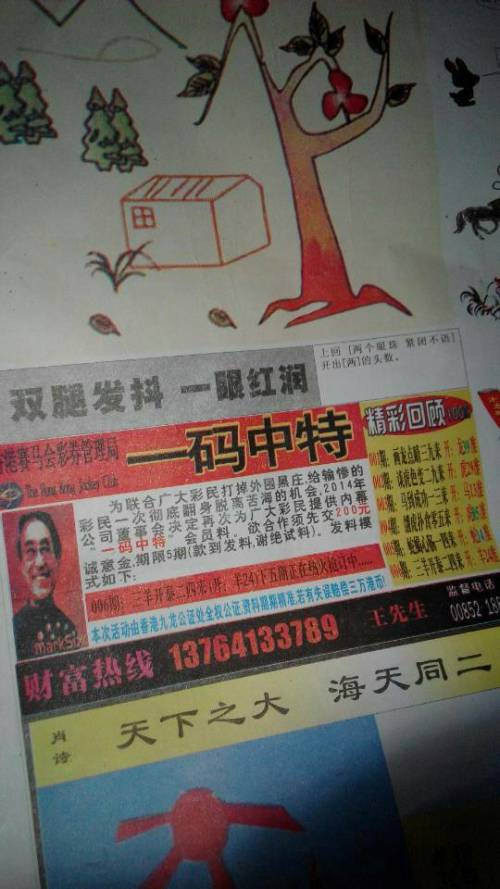 神秘生肖之謎