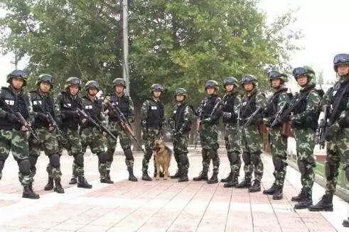 關(guān)于中國人民武裝警察部隊特種警察學(xué)院是否屬于提前批的解析，中國人民武裝警察部隊特種警察學(xué)院是否屬于提前批詳解