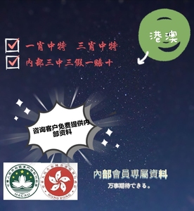香港內(nèi)部精準(zhǔn)資料一碼，揭秘真相與深度解析，香港內(nèi)部精準(zhǔn)資料一碼揭秘與深度解析