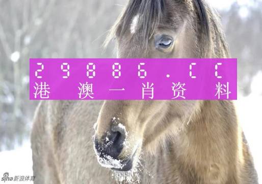 揭秘一肖一碼，澳門博彩背后的秘密真相（100%準(zhǔn)確預(yù)測(cè)？），澳門博彩揭秘，一肖一碼背后的真相與預(yù)測(cè)準(zhǔn)確性探討